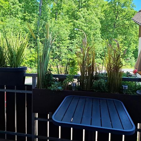 Ferienwohnung Waldzauber Bad Sachsa Esterno foto